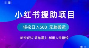小红书援助项目新奇玩法,简单暴力,无脑搬运轻松日入500【揭秘】-网赚资源网