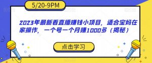 2023年最新看直播赚钱小项目，适合宝妈在家操作，一个号一个月赚1000多（揭秘）-网赚资源网