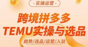 伍跃·跨境拼多多TEMU实操与选品,趋势/选品/运营/入住(27节完整)-网赚资源网
