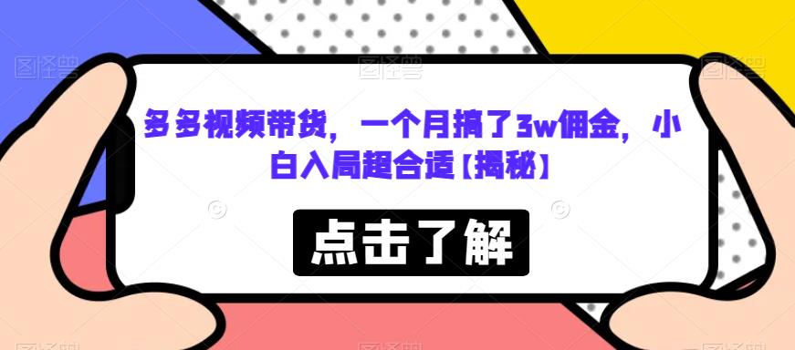 多多视频带货，一个月搞了3w佣金，小白入局超合适【揭秘】 - 网赚资源网-网赚资源网