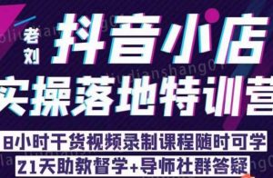 老刘·抖店商品卡流量,抖音小店实操落地特训营,8小时干货视频录制课程随时可学-网赚资源网