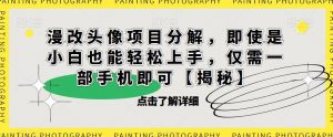 漫改头像项目分解,即使是小白也能轻松上手,仅需一部手机即可【揭秘】-网赚资源网
