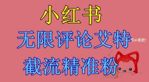 小红书无限评论艾特截流精准粉(软件+教程)-网赚资源网