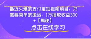 最近火爆的支付宝短视频项目,只需要简单的搬运,1万播放收益300+【揭秘】-网赚资源网