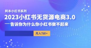 阿本小红书无货源电商3.0,告诉你为什么你小红书做不起来-网赚资源网
