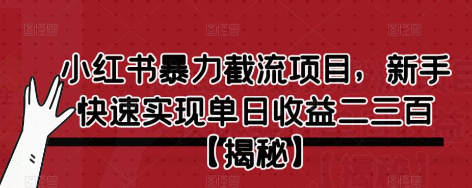 小红书暴力截流项目，新手快速实现单日收益二三百【仅揭秘】 - 网赚资源网-网赚资源网