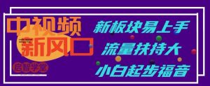 中视频新风口，新板块易上手，流量扶持大，小白起步福音【揭秘】-网赚资源网