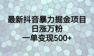 最新抖音暴力掘金项目,日涨万粉,一单变现500+【揭秘】-网赚资源网
