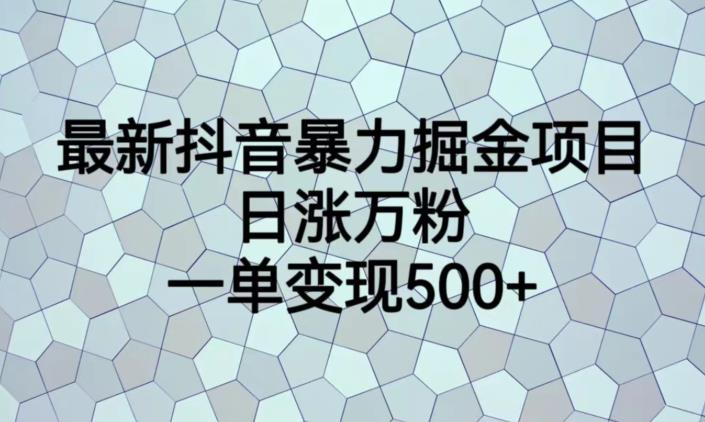 最新抖音暴力掘金项目，日涨万粉，一单变现500+【揭秘】 - 网赚资源网-网赚资源网