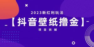 抖音壁纸小程序创作者撸金项目,2023新红利玩法【项目拆解】-网赚资源网