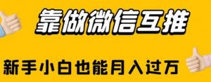 靠做微信互推，新手小白也能月入过万【揭秘】-网赚资源网