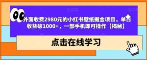 外面收费2980元的小红书壁纸掘金项目，单日收益破1000+，一部手机即可操作【揭秘】-网赚资源网