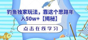 钓鱼独家玩法,靠这个思路年入50w+【揭秘】-网赚资源网