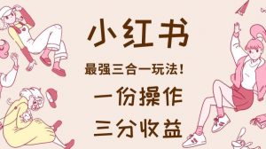 小红书最强三合一玩法,一份操作获得三份收益!【揭秘】-网赚资源网