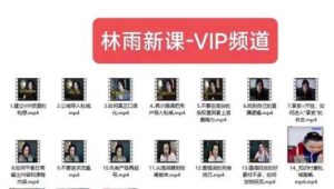林雨新课VIP频道，玩赚私域/朋友圈/社群-网赚资源网