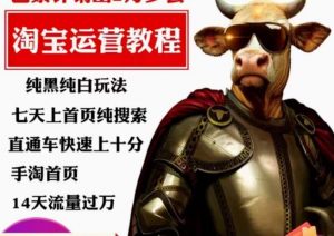猫老师·淘系算法逆向解密,纯黑纯白玩法,七天上首页纯搜索,手淘首页14天流量过万-网赚资源网