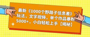 最新《1000个野路子信息差》玩法，文字视频，单个作品暴粉5000+，小白轻松上手【揭秘】-网赚资源网