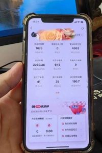 超级蓝海赛道保姆级教学,小红书无货源,无需实拍,如何做到日入1000+【揭秘】-网赚资源网