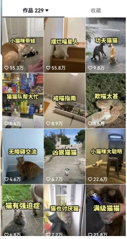 拆解：抖音盘点类中视频变现副业项目，视频版一条龙大解析分享给你 - 网赚资源网-网赚资源网