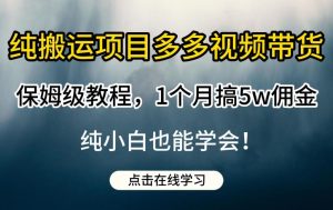 纯搬运项目多多视频带货保姆级教程,1个月搞5w佣金,纯小白也能学会【揭秘】-网赚资源网