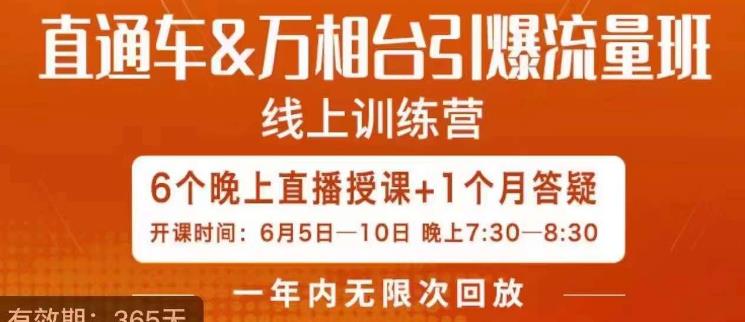 直通车&万相台引爆流量班，6天打通你开直通车·万相台的任督二脉 - 网赚资源网-网赚资源网