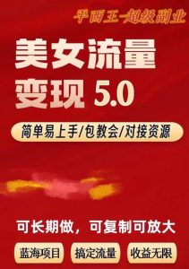 TK美女短视频变现项目无限复制（升级版），全网最高性价比项目【揭秘】-网赚资源网