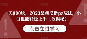 一天800块,2023最新反撸pz玩法,小白也能轻松上手【仅揭秘】-网赚资源网