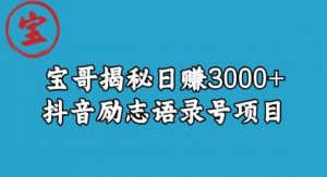 宝哥揭秘日赚3000+抖音励志语录号短视频变现项目-网赚资源网
