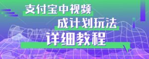 避坑玩法:支付宝中视频分成计划玩法实操详解【揭秘】-网赚资源网