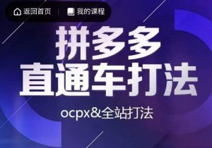 互力·拼多多直通车打法,ocpx&全站打法-网赚资源网