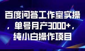 百度问答工作室实操,单号月产3000+,纯小白操作项目【揭秘】-网赚资源网