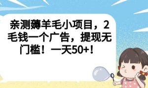 亲测薅羊毛小项目,2毛钱一个广告,提现无门槛!一天50+【揭秘】-网赚资源网