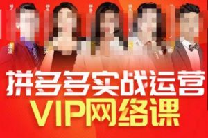 推易拼多多VIP全套直播课程,拼多多店铺实操玩法+实战玩法选款内功+直通车高阶等-网赚资源网