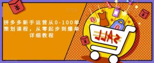 拼多多新手运营从0-100单策划课程,从零起步到爆单详细教程-网赚资源网