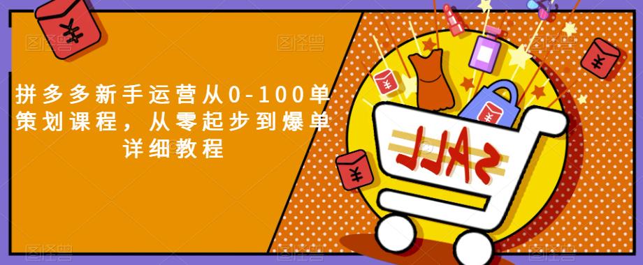拼多多新手运营从0-100单策划课程，从零起步到爆单详细教程 - 网赚资源网-网赚资源网