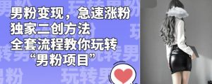 男粉变现，急速涨粉独家二创方法，全套流程教你玩转“男粉项目”【揭秘】-网赚资源网