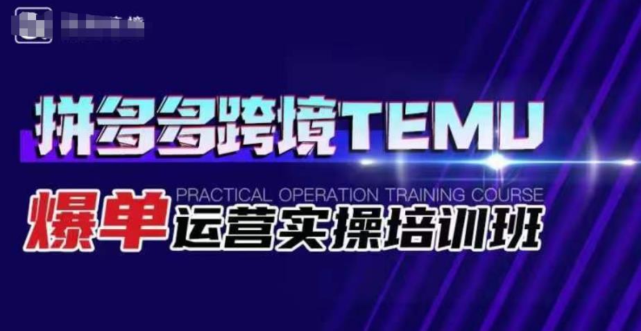 拼多多跨境TEMU爆单运营实操培训班，海外拼多多的选品、运营、爆单 - 网赚资源网-网赚资源网