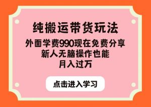 纯搬运带货玩法,外面学费990现在免费分享,新人无脑操作也能月入过万【揭秘】-网赚资源网