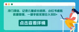 冷门项目,记录儿童成长档案,小红书虚拟资源变现,一部手机实现日入300+【揭秘】-网赚资源网
