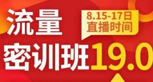 秋秋线上流量密训班19.0，打通流量关卡，线上也能实战流量破局-网赚资源网