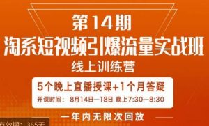南掌柜·淘系短视频引爆流量实战班，​短视频是一个没有天花板的流量入口-网赚资源网