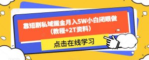 靠短剧私域掘金月入5W小白闭眼做（教程+2T资料）-网赚资源网