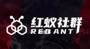 社群运营：红蚁社群【48节落地系统课程+2000人高端社群】-网赚资源网