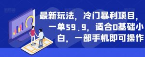 最新玩法,冷门暴利项目,一单59.9,适合0基础小白,一部手机即可操作【揭秘】-网赚资源网