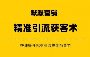 默默营销·精准引流+私域营销+逆袭赚钱(三件套)快速提升你的赚钱认知与营销思维-网赚资源网