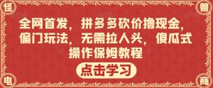 全网首发,拼多多砍价撸现金,偏门玩法,无需拉人头,傻瓜式操作保姆教程【揭秘】-网赚资源网