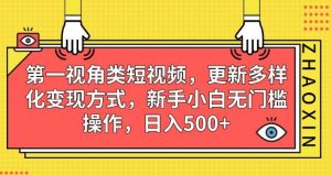 第一视角类短视频，更新多样化变现方式，新手小白无门槛操作，日入500+【揭秘】-网赚资源网