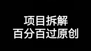 项目拆解赛道百分百过原创【揭秘】-网赚资源网