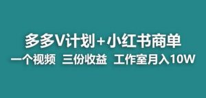 【蓝海项目】多多v计划+小红书商单一个视频三份收益工作室月入10w-网赚资源网