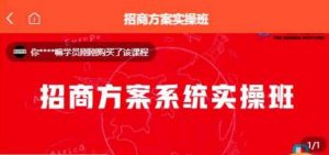 【一度招商】招商方案系统实操班 价值1980元-网赚资源网